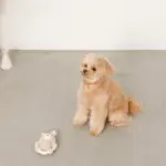 サークルロープうさぎさんぬいぐるみ - 画像 (3)