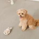 サークルロープうさぎさんぬいぐるみ - 画像 (4)