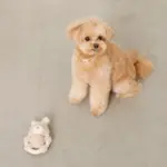 サークルロープうさぎさんぬいぐるみ - 画像 (6)