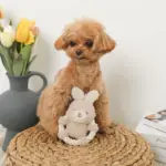 サークルロープうさぎさんぬいぐるみ - 画像 (7)