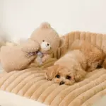 くまさんハンドパペット - 画像 (3)