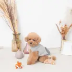 ちいさなナマケモノさん - 画像 (5)