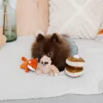 ちいさなナマケモノさん - 画像 (7)