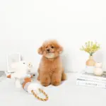 くるくる綱引きブタさん - 画像 (2)