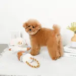 くるくる綱引きブタさん - 画像 (3)