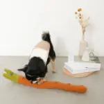 かたつむりノーズワークおもちゃ - 画像 (6)