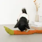 かたつむりノーズワークおもちゃ - 画像 (7)