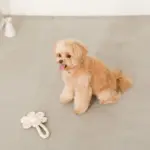 フラワーロープぬいぐるみ - 画像 (2)