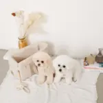 フラワーロープぬいぐるみ - 画像 (3)