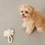 フラワーロープぬいぐるみ - 画像 (5)