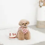 ホールケーキぬいぐるみ - 画像 (2)