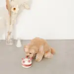 ホールケーキぬいぐるみ - 画像 (4)