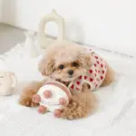 ホールケーキぬいぐるみ - 画像 (5)