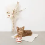 ホールケーキぬいぐるみ - 画像 (6)