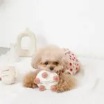 ホールケーキぬいぐるみ - 画像 (8)