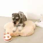 ホールケーキぬいぐるみ - 画像 (9)