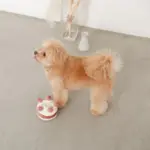 ホールケーキぬいぐるみ - 画像 (10)