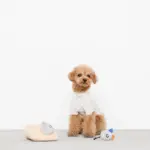 チーズとねずみさん - 画像 (2)