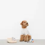 チーズとねずみさん - 画像 (3)