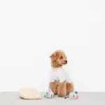 チーズとねずみさん - 画像 (4)