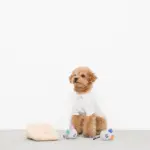 チーズとねずみさん - 画像 (5)