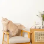 ノーズワークふんわりハートのおもちゃ - 画像 (8)