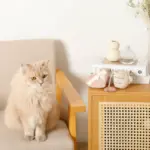 ノーズワークふんわりハートのおもちゃ - 画像 (9)