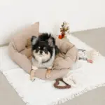 ハートのロープおもちゃSET - 画像 (3)