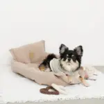 ハートのロープおもちゃSET - 画像 (5)