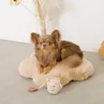 ノーズワークコーヒーカップぬいぐるみ - 画像 (6)