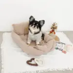 ノーズワークコーヒーカップぬいぐるみ - 画像 (7)