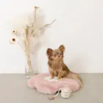 ノーズワークコーヒーカップぬいぐるみ - 画像 (9)