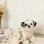 デンタルロープスノーマンぬいぐるみ - 画像 (3)