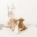 デンタルロープスノーマンぬいぐるみ - 画像 (5)