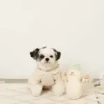 デンタルロープスノーマンぬいぐるみ - 画像 (7)