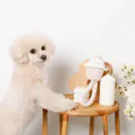 デンタルロープ鳴き笛入りマカロンカップケーキ - 画像 (3)