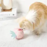 デンタルメッシュノーズワークストロベリー - 画像 (2)