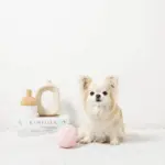 デンタルメッシュノーズワークストロベリー - 画像 (3)