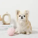 デンタルメッシュノーズワークストロベリー - 画像 (4)