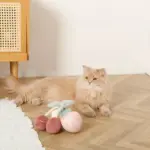 デンタルメッシュノーズワークストロベリー - 画像 (7)