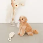 スリッパロープトイ - 画像 (2)