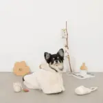 スリッパロープトイ - 画像 (3)