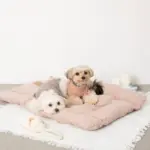 スリッパロープトイ - 画像 (4)