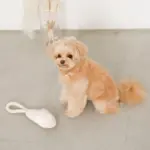 スリッパロープトイ - 画像 (5)