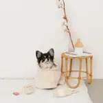 スリッパロープトイ - 画像 (7)