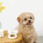 デンタルロープノーズワークおしゃぶりおもちゃ - 画像 (2)