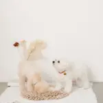 ノーズワークバイカラーマット - 画像 (3)