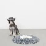 ノーズワークバイカラーマット - 画像 (5)