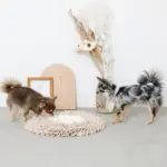 ノーズワークバイカラーマット - 画像 (6)