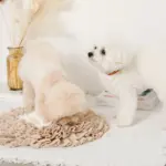 ノーズワークバイカラーマット - 画像 (7)